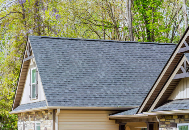 Best Commercial Roofing Services  in Pahoa, HI