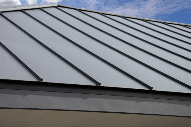Best Metal Roofing Installation  in Pahoa, HI