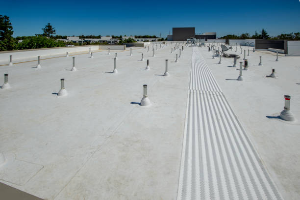 Best Storm Damage Roof Repair  in Pahoa, HI